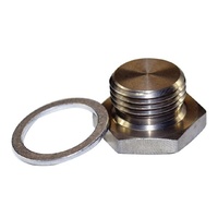 S/S 02 SCREW IN PLUG WITH WASHER