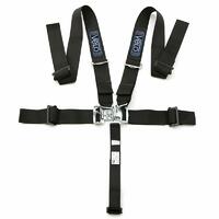 Harnesses and Arm Restraints